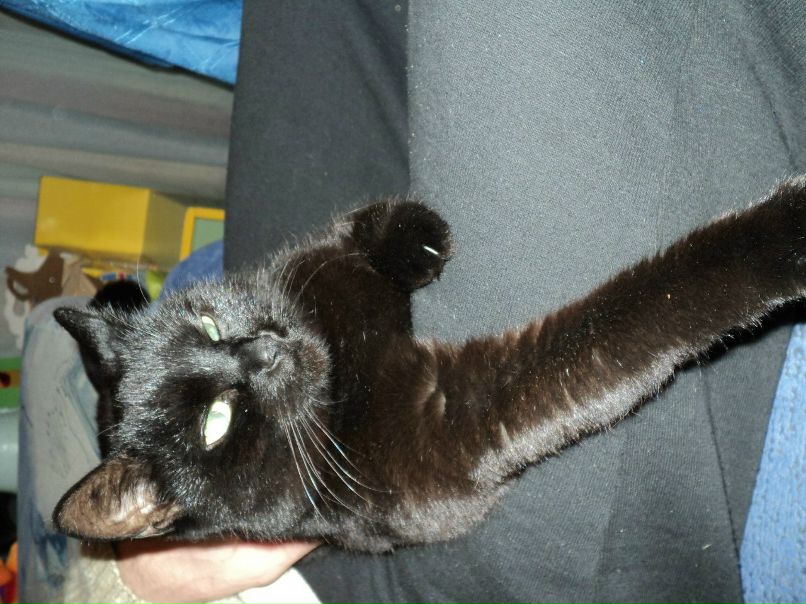 Катя Макарова ХОРоШаЯ | Казань