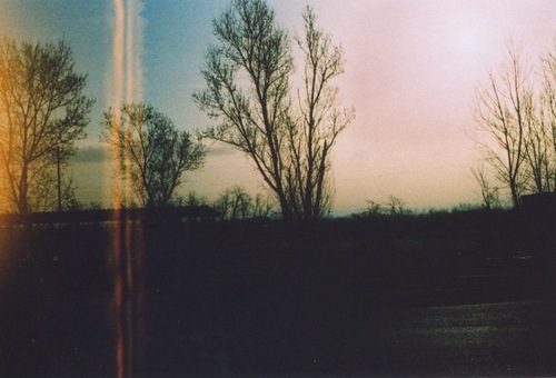 №55, Роман Оникиенко №55, Роман Оникиенко