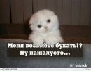 Фотография Анатолий Румянцев