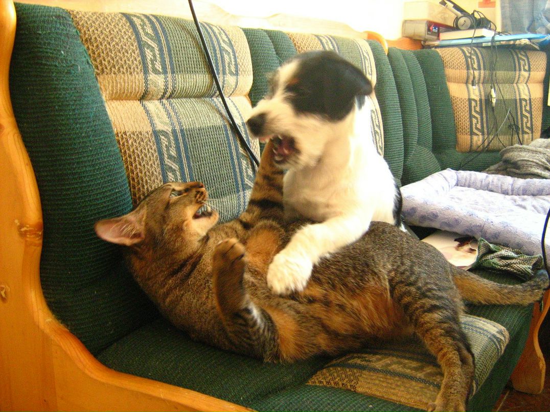 Наталья Иванова Васильевна | Санкт-Петербург