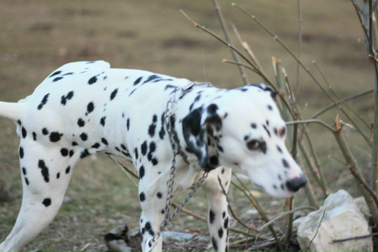 Славик Аджигитов | Москва