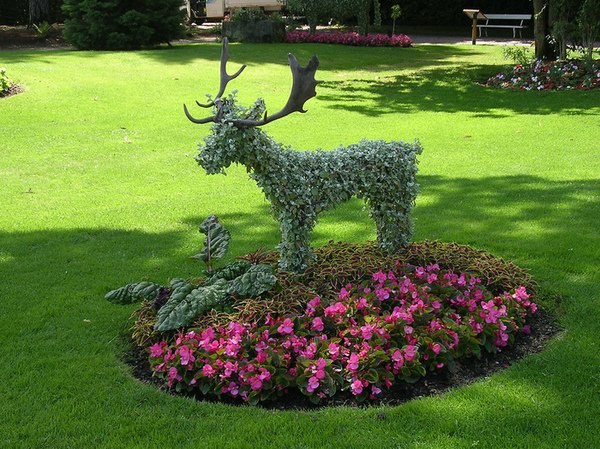 Венера Гаянова | Уфа