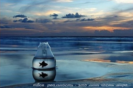 №167, Вадик Алейников, 33 года, Минск №167, Вадик Алейников, 33 года, Минск