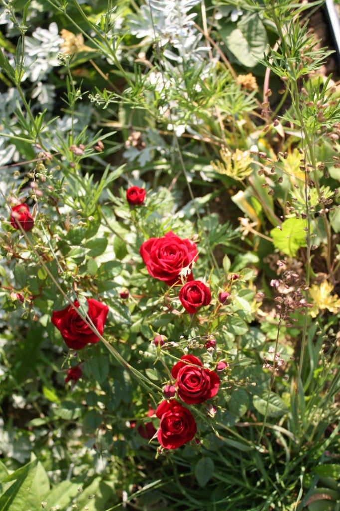 Екатерина Усанова Георгиевна | Москва