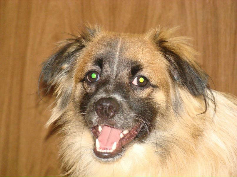 Ангелина Морозова | Херсон