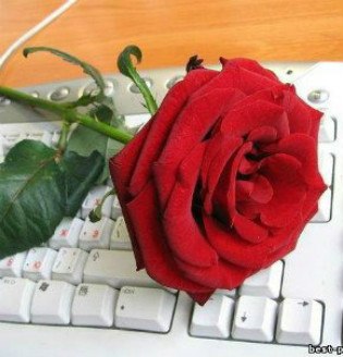 №37, Nasim Kodirov, 40 лет, Санкт-Петербург №37, Nasim Kodirov, 40 лет, Санкт-Петербург