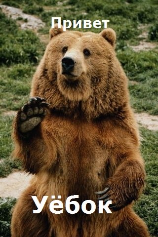 Никита Мельник | Запорожье