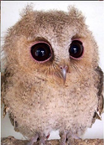 Артем Дорохов ☼☼FeelGooD☼☼ | 