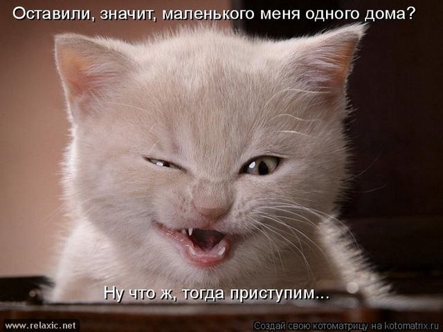 Дашка Савина | Речица