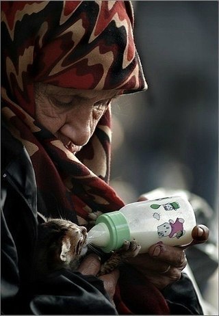 Александр Владимирович + | 