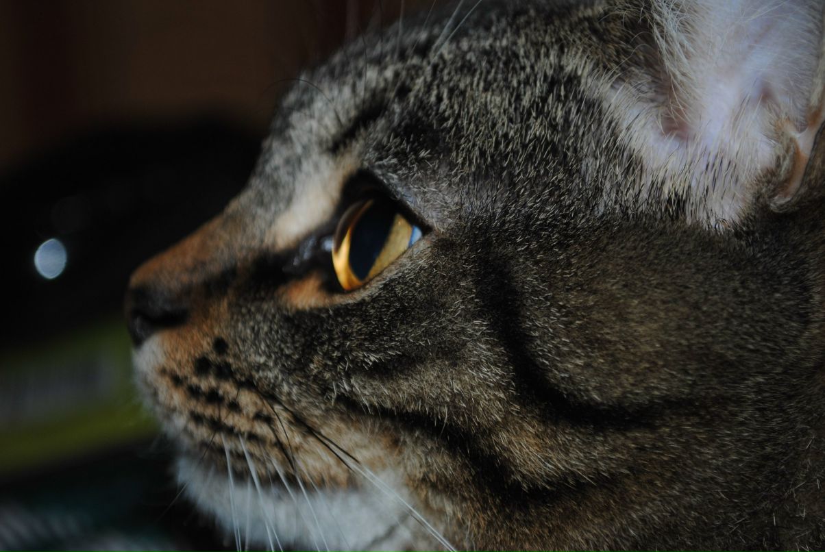 Александр Михолап | Минск