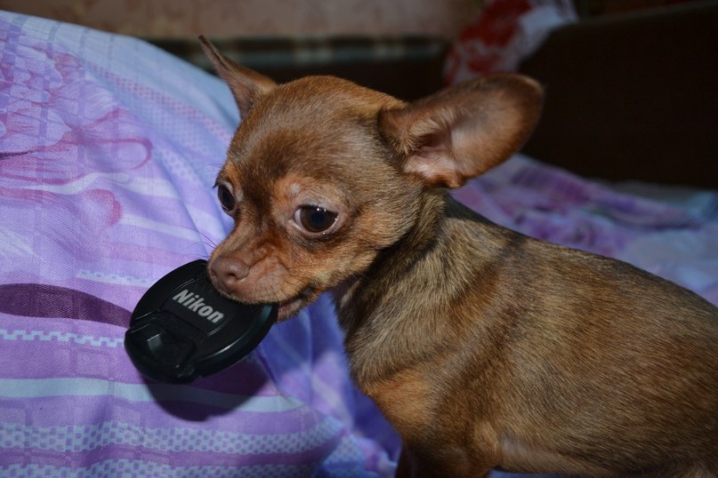 Евгения Александрова | Сочи