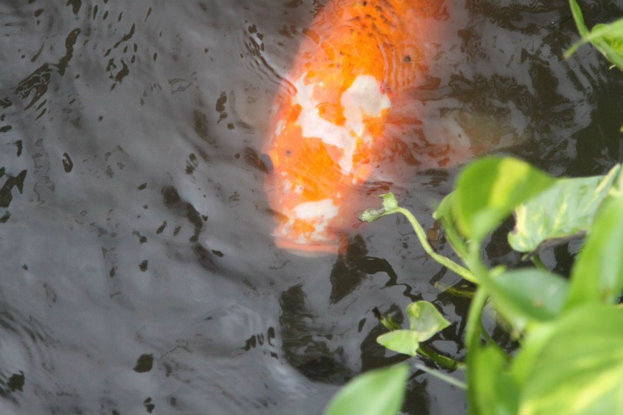 Любаша Солдатова | Москва