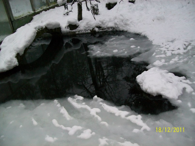 Алина Ескина *без подруги не как* | Костомукша