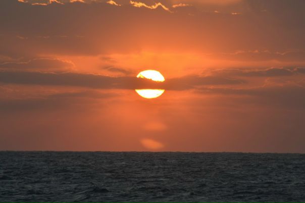 Hamada Hamada фото со стены #1