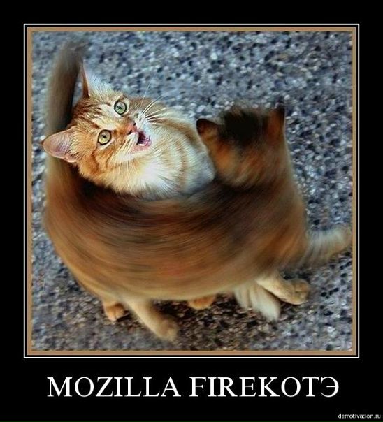 №7, Вячеслав Ковалевский, Санкт-Петербург №7, Вячеслав Ковалевский, Санкт-Петербург