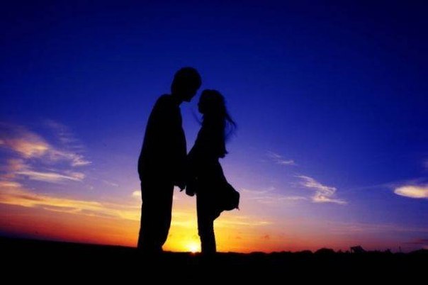 №1, Нуфаня Любимая №1, Нуфаня Любимая