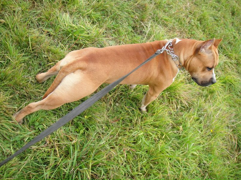 Александр Халтурин | Пермь