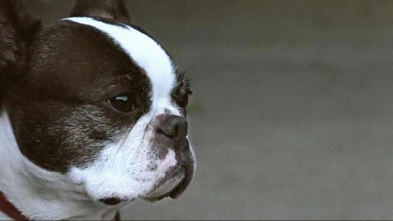 Антон Костюк | Praha