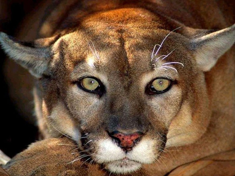 Екатерина Котовская | Омск