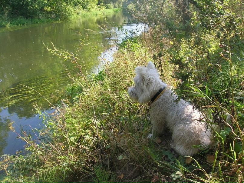 Николай Подгаецкий | Москва
