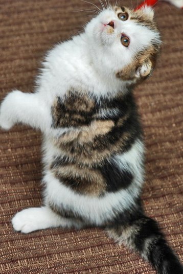 Алла Мосьпан | Белгород-Днестровский