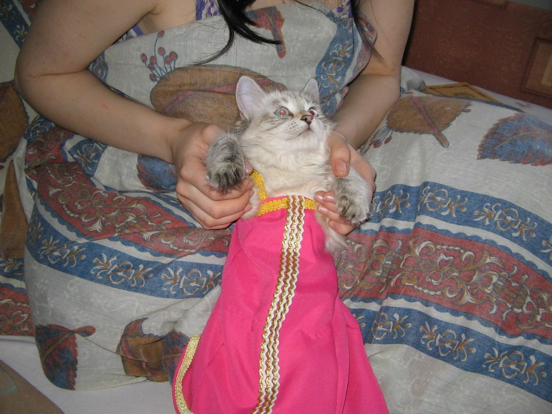 Людмила Коноплева | Самара