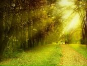 №5 Максим Соловьёв 10.10.1989: профиль, фото, статус - ВКонтакте