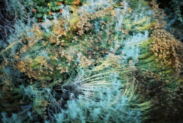 №13, Кирилл Касаткин, Омск №13, Кирилл Касаткин, Омск