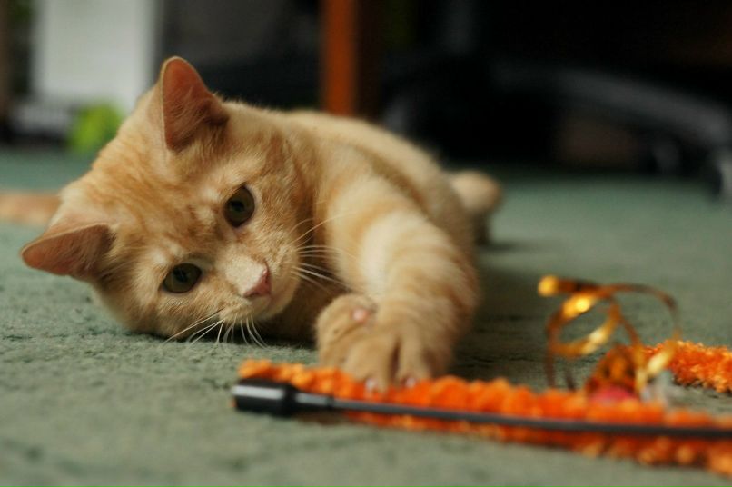 Александр Межерицкий Константинович | Харьков