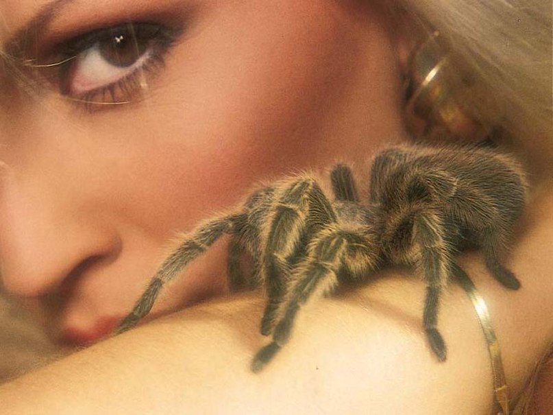 Олеся Воробьёва (васильева) | Великий Новгород