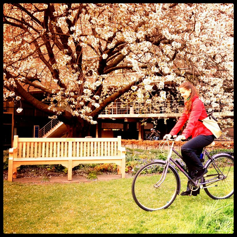 Саша Мисик | 