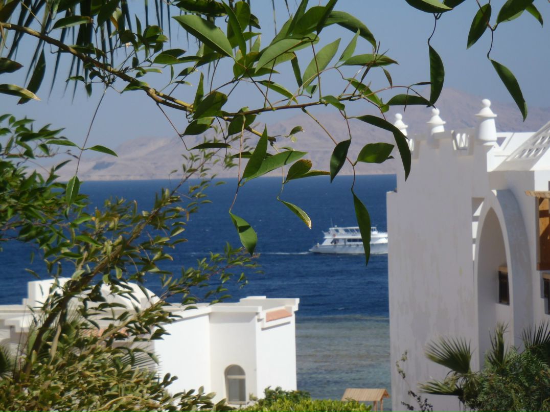 Ольга Шубина | Пермь