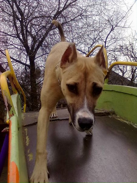 №123, Лена Гаранина №123, Лена Гаранина