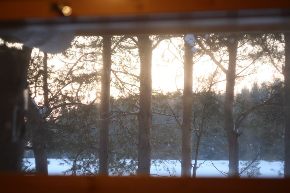 Владимир Глотов | Саранск