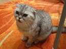 №5 Александр Потемкин