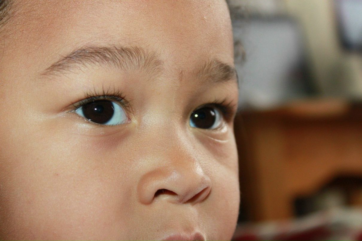 Briscov Briscovich | Pau