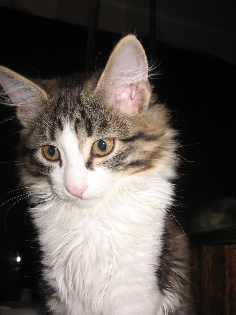 Виктория Мосина | Зеленогорск