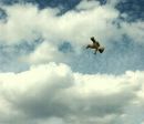 №29 Машка Титова 24.01.1997: профиль, фото, статус - ВКонтакте