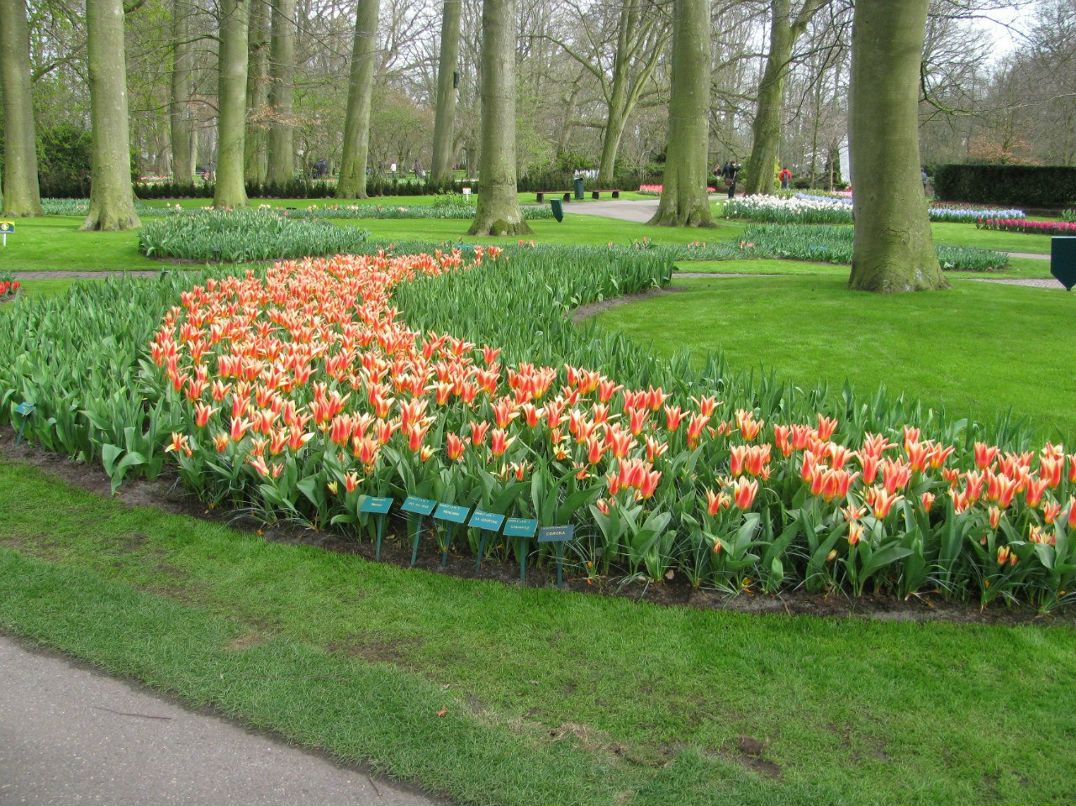 Светлана Антоновская | Санкт-Петербург