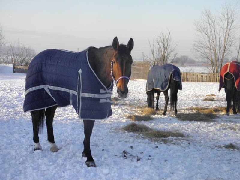 Александр Воронин | Гатчина