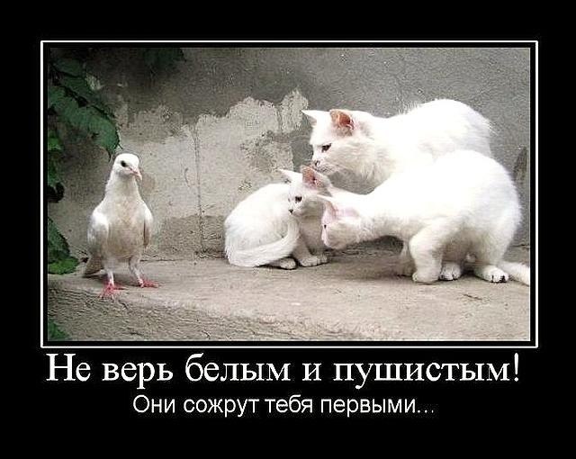 Наталья Оленникова | Омск