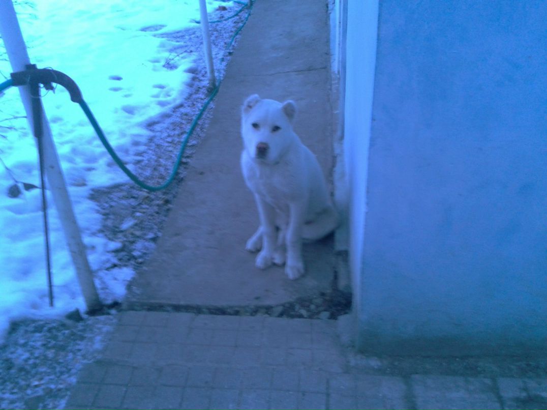 Алексей Попов | Геленджик