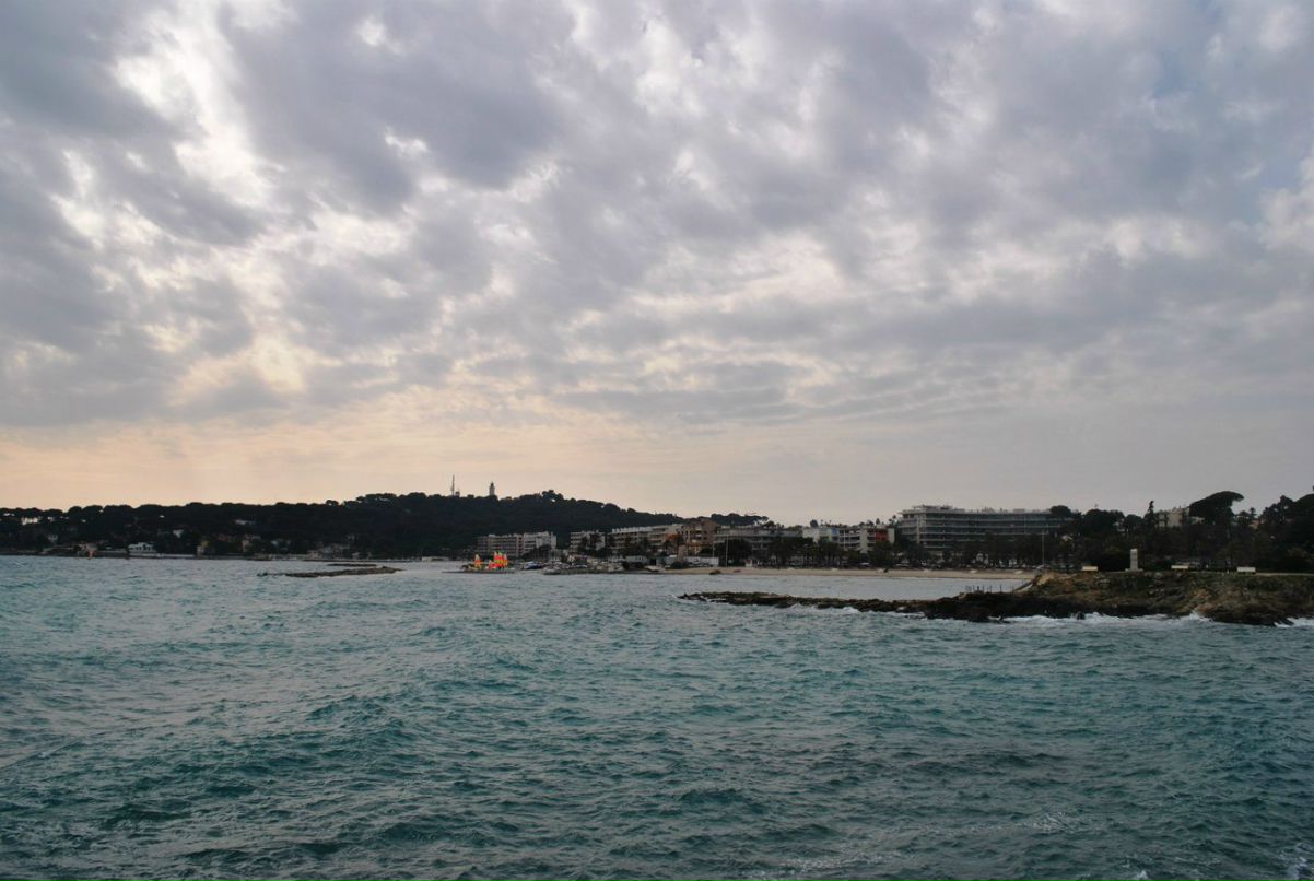 Ольга Мартыновская | Киев