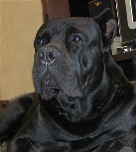 №90, Игорь Щербань, Токмак №90, Игорь Щербань, Токмак