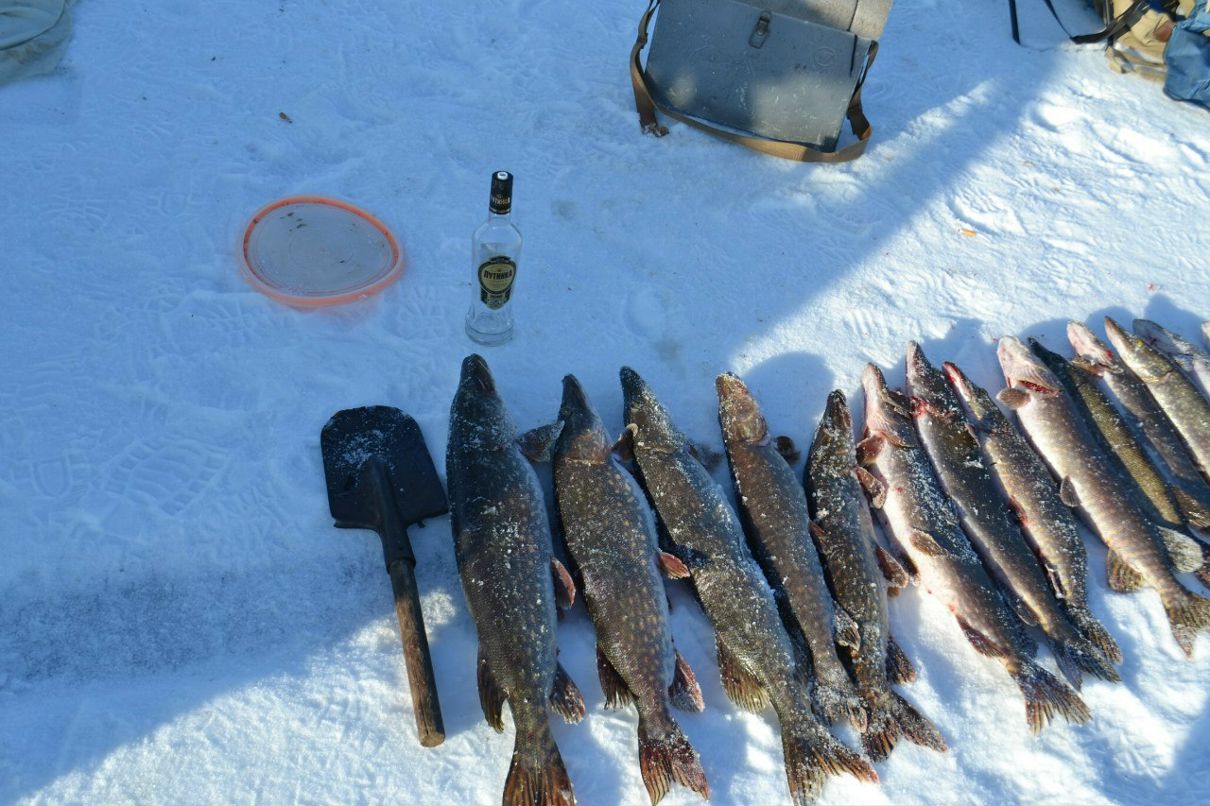 Михаил Ушаков | Санкт-Петербург