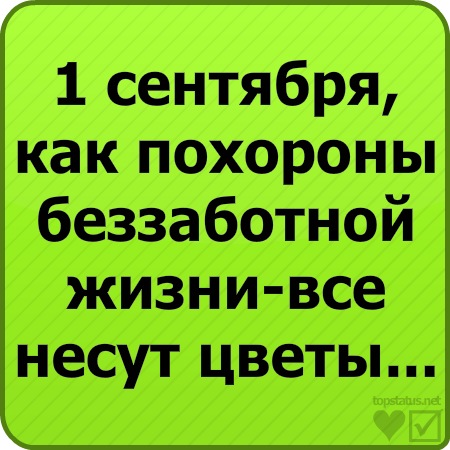 №37, Влад Байда №37, Влад Байда