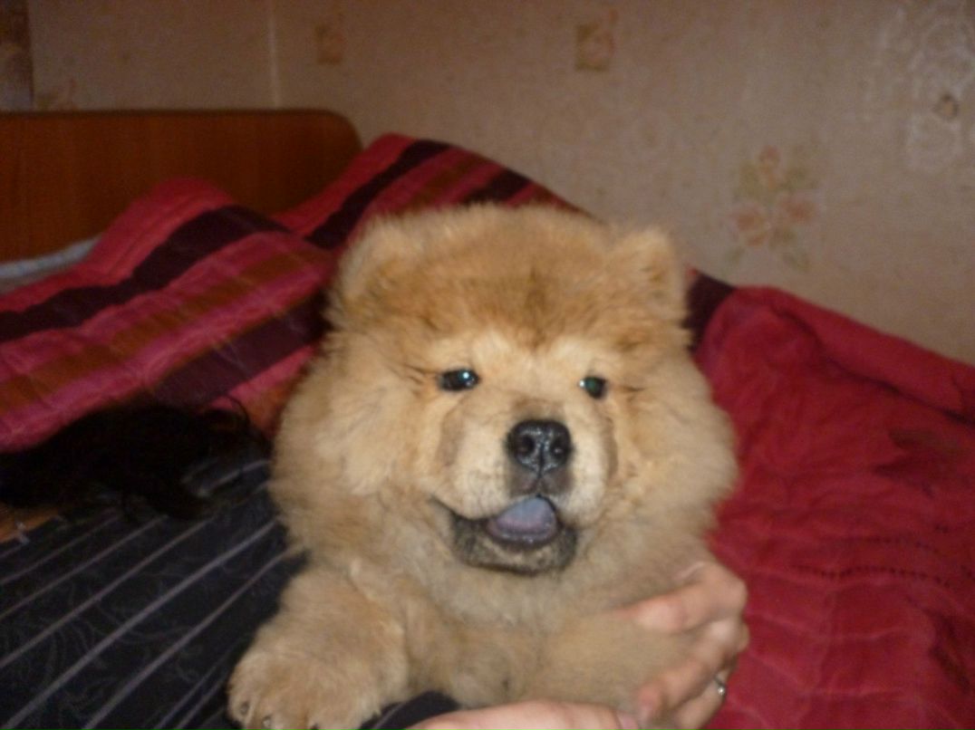 Асем Талыспаева | Алматы