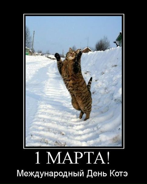 №24, Давид Эдуардович, 37 лет, Киев №24, Давид Эдуардович, 37 лет, Киев