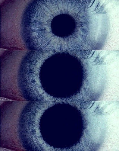 Крис Корчагина | 